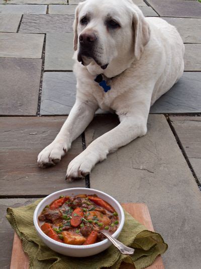 Guinness Lamb Stew With Vegetables Carrot Greens Lamb Stew Carrots And Potatoes Freezer