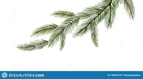 Download Watercolor Vector Green Spruce Branch, Christmas Tree. Stock Vector - Illustration of merry ...