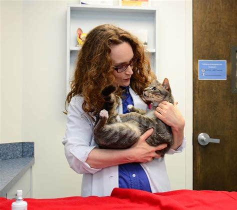Be a senior care companion in winter park, fl. Winter Park Veterinary Hospital - Trusted Business Partners