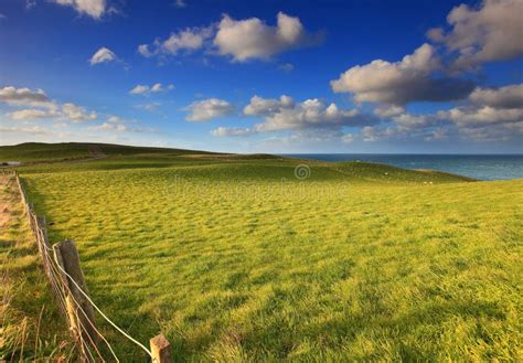Outdoor Landscape In New Zealand Grass Field Und Stock Image Image