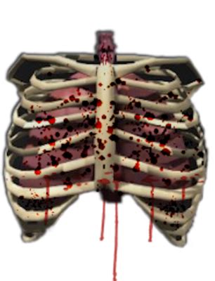 Human rib cage illustration, rib cage heart human skeleton anatomy, skeleton hand transparent background png clipart. Download RIB CAGE Free PNG transparent image and clipart