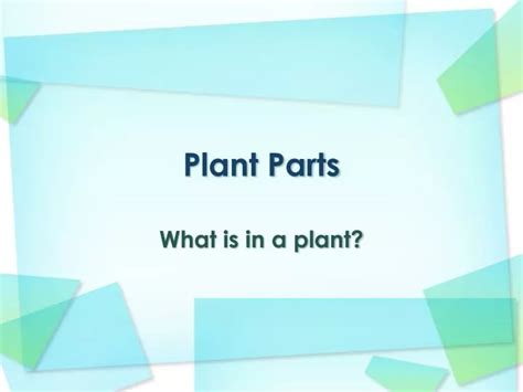 Ppt Plant Parts Powerpoint Presentation Free Download Id4262197