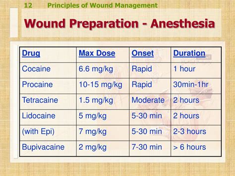 Ppt Wound Management Powerpoint Presentation Free Download Id1266124