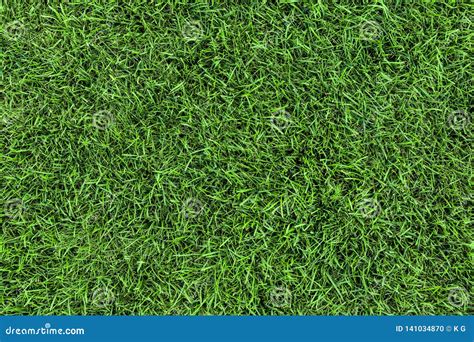 Dark Green Grass Texture Background Fresh Lawn Field View Frim Above
