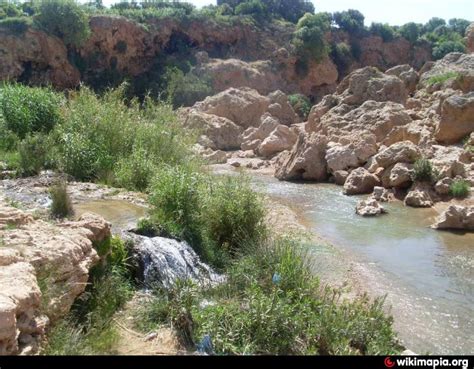 · une ferme à vendre dans un patelin nommé tgafayt à environs 74 kilomètres d'oujda et 14 kilomètres de jerada.avis aux acheteurs et une occasion à ne pas rater.pour voir , consulter et. LA PICIN DIAL TGAFAYT