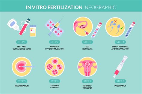 What Is In Vitro Fertilization Or Ivf Yashoda Hospital