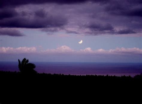 Purple Sunset Moon Set In Hawaii Politics