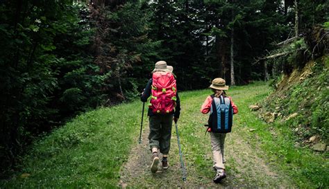 Hiking With Kids Tips For A Safe And Fun Adventure Gore Tex Brand