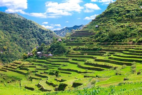 The Famous Rice Terraces Of The Philippines Compass Resort Groupbiz