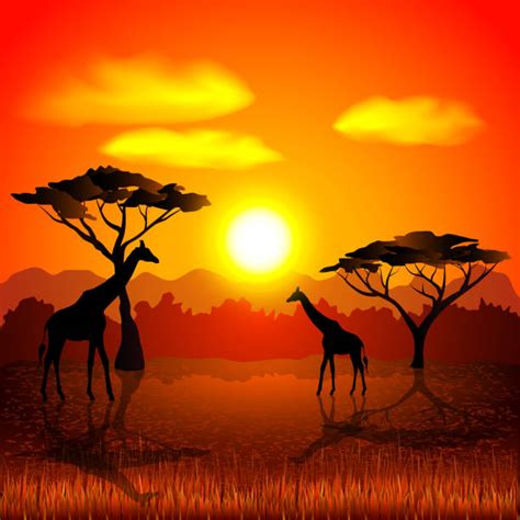 African Safari Background With Red Sunset And Tree Silhouette