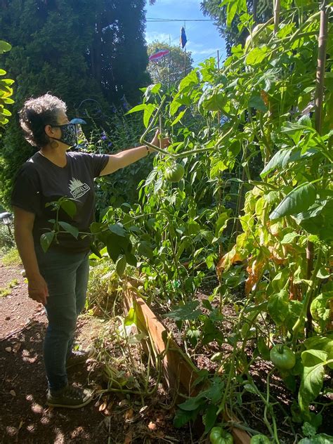 Neighborhood plant exchanges cultivate community as pandemic gardens