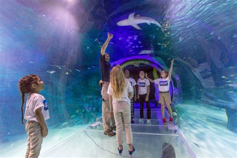 Orlando Eye Madame Tussauds And Sea Life Aquarium Open