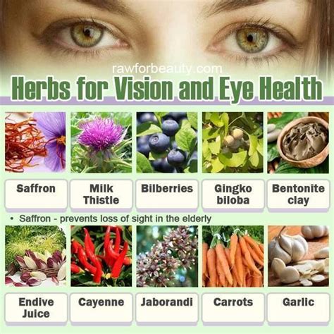 herbs for vision and eye health eye health food eye health herbs