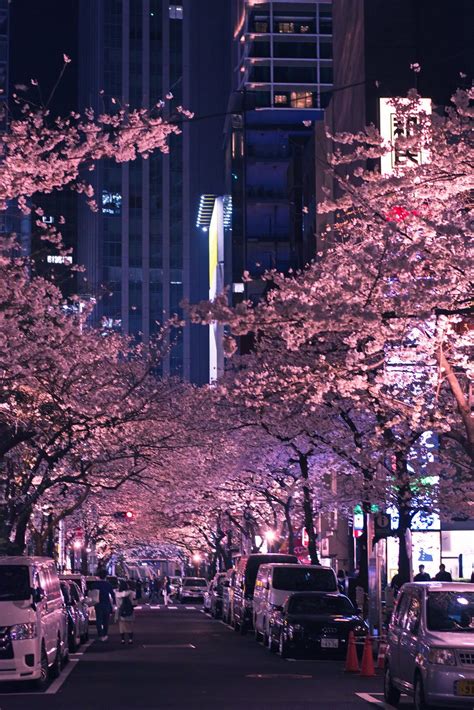 Amazing Japan — Osaka Castle, Japan in 2020 | Cherry blossom japan, Japan landscape, Aesthetic japan
