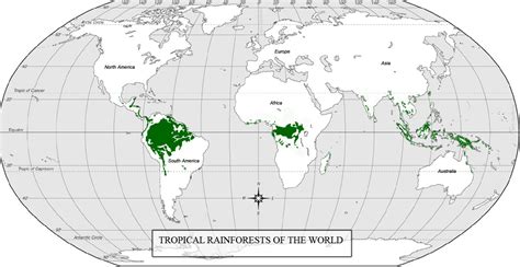 Expedition Earth Tropical Rainforest