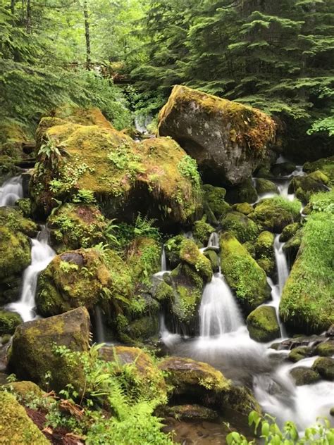 Umpqua National Forest Waterfalls And Hot Springs You Cant Miss