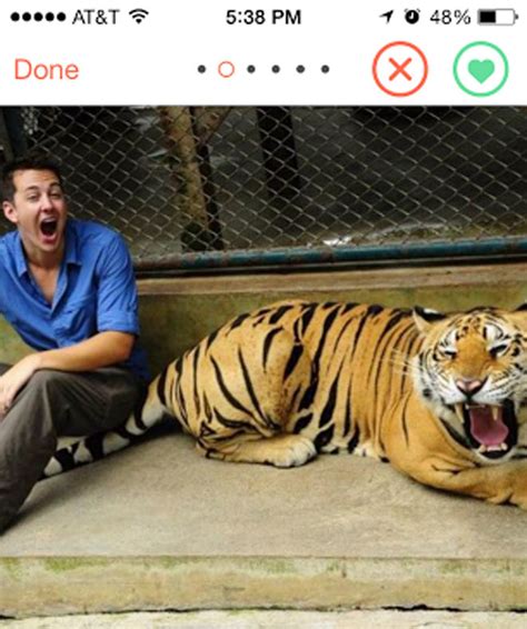 tinder s famous tiger selfies may be illegal in new york state
