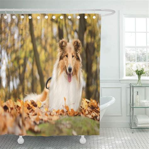 Ships free orders over $39. CYNLON Breed Dog Autumn Rough Collie Adorable Canine Cute Tongue Bathroom Decor Bath Shower ...
