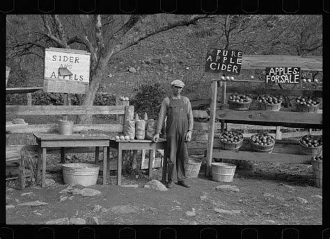 12 Vintage Pictures Of Farm Stands Modern Farmer