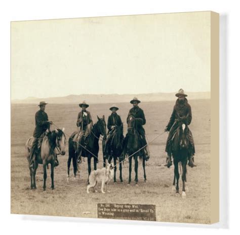Prints Of Wyoming Cowboys 1887 Roping Gray Wolf Cowboys Take In A