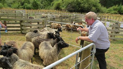 Dannevirke Exotic Sheep Breeds Prove Popular Nz Herald