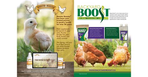 ChickenWhisperer Spring 2022