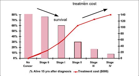 Bone cancer in cats and dogs usually means surgery and chemotherapy. Metastatic Breast Cancer Survival Rates