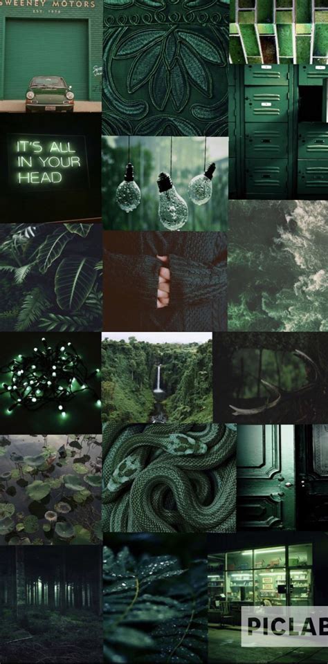 See more ideas about green aesthetic, dark green aesthetic, aesthetic. Green aesthetic Dark green aesthetic Emerald aesthetic ...