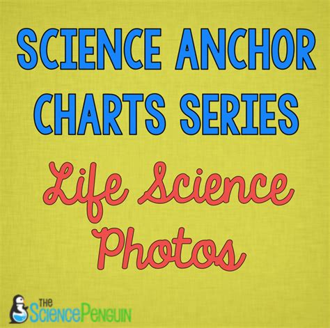 Life Science Anchor Charts — The Science Penguin
