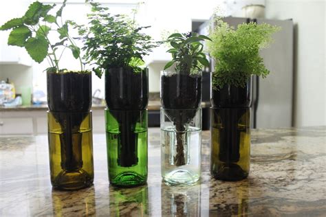 How To Make Recycled Wine Bottles Into The Perfect Planter Philly