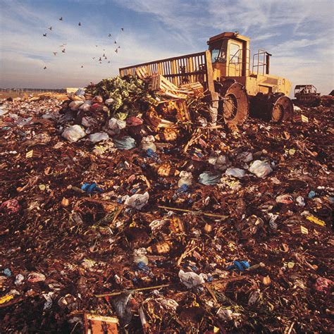 Syed Fahad Quadris Blog Few Words Bout Myself Soil Pollution Pics