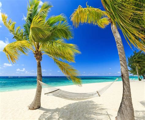 8 Reasons Why You Should Go To The Caribbean This Winter Tropical