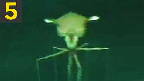 Top 5 Mysterious Sea Creatures Captured On Undersea Cameras Youtube