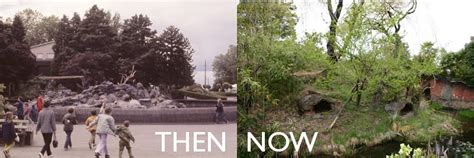 Woodland Park Zoo Blog Then And Now Monkey Island