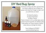 Homemade Bed Bug Spray Recipe Photos