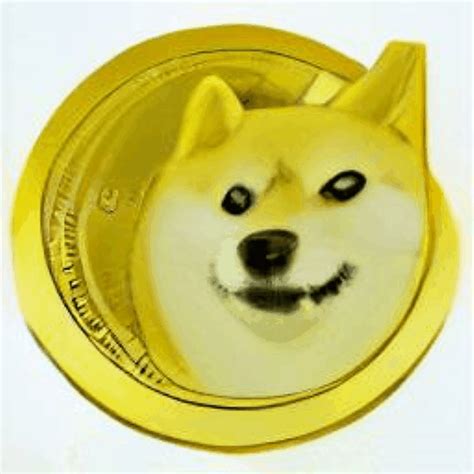 Doge Coin Nft Collection Opensea