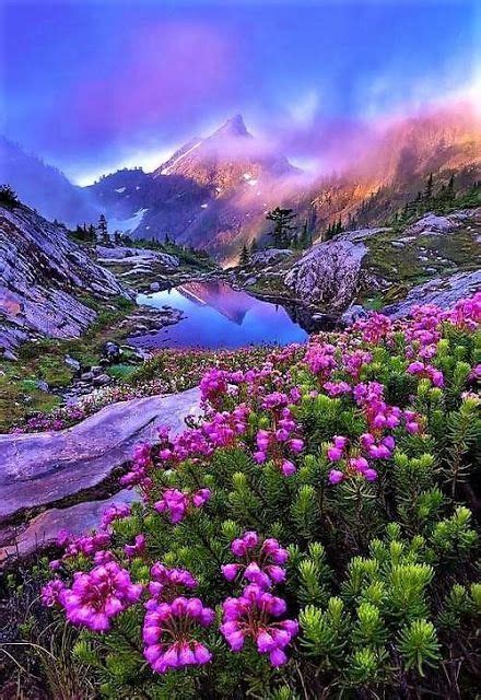Beautiful Landscapes And Flowers Image Nature Nature Photos Beautiful