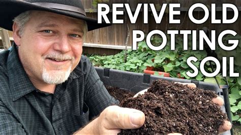 Also, use compost for perhaps 25% of the mix. How To Re-Use Old Potting Soil - 4 Methods for Recycling ...