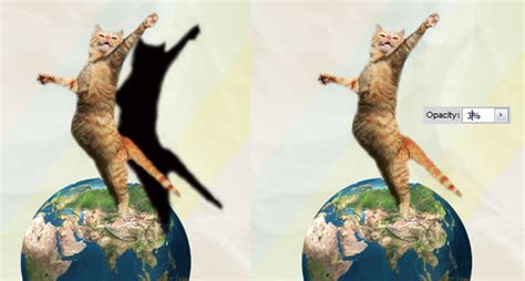 Create A Surreal Cat Photo Manipulation In Photoshop Tutorial Designbump