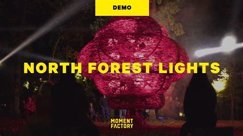 North Forest Lights Immersive Light And Sound Installations In The