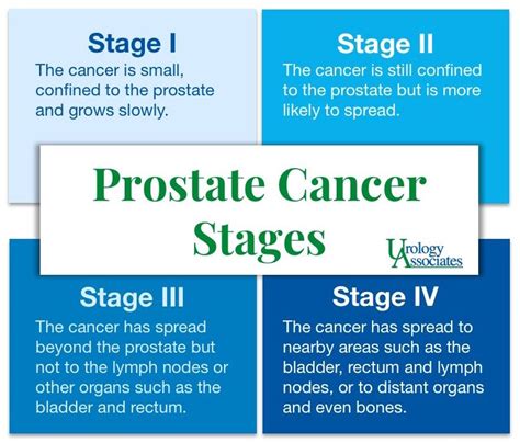 Verschiedene Stadien Von Prostatakrebs