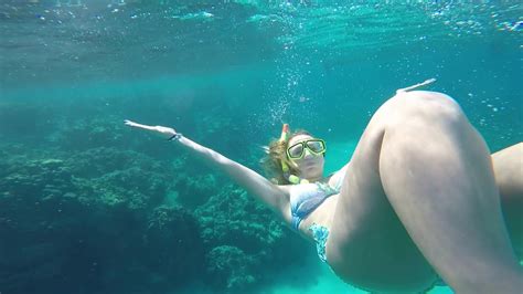 Snorkeling In Jamaica Youtube