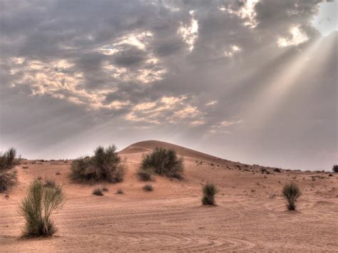 Rub Al Khali Desert Map Facts Location Camel Ride