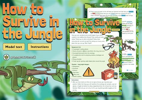 Year 4 Model Text Instructions How To Survive In The Jungle Gbsct