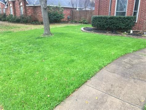 Pennington 50 Lb Annual Ryegrass Grass Seed 100082644 At The Home