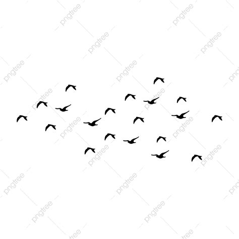 Ilustración De Vector De Pájaros Voladores Negros Png Aves Vector