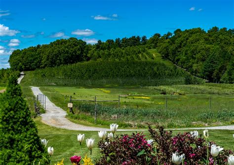 Photos, address, and phone number, opening hours, photos, and user reviews on yandex.maps. New Amesbury Townhomes | The Village at Bailey's Pond ...