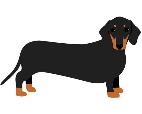 Cartoon Sausage Dog Drawing Cute Wiener Worst Hond Vector Cartoon