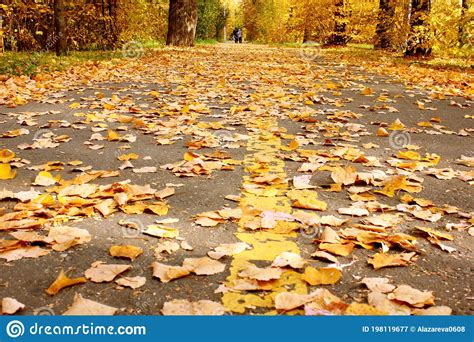 Fallen Yellow Autumn Leaves On The Asphalt Road In The Park Small