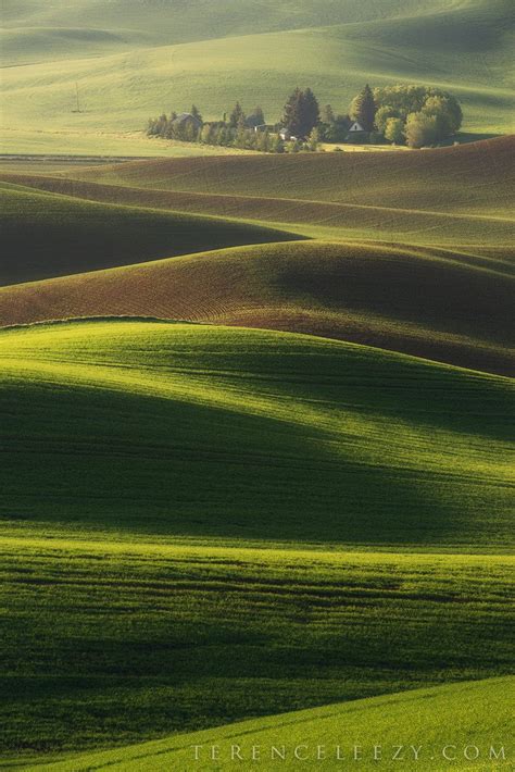 Rolling Hills Of Palouse By Terence Leezy On 500px With Images